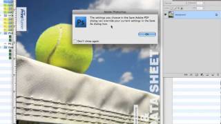 Save Photoshop to PDF [upl. by Alidus]