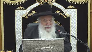 Parashat BAMIDBAR Weekly Torah Portion Rabbi Benyahu Shmueli Shalita [upl. by Batha]