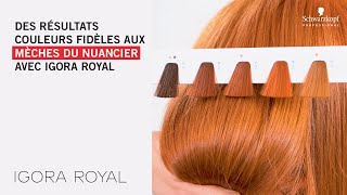 Des résultats couleurs fidèles aux mèches du nuancier avec IGORA ROYAL [upl. by Demmy]