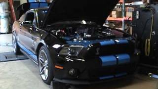 Lethal Performance 2010 GT500 with a 40L Whipple Supercharger [upl. by Garvy]