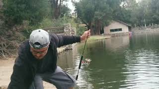 Irvine Regional Park Ca Fishing [upl. by Aivad]