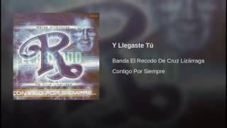 Banda El Recodo Y llegaste tú [upl. by Enirhtak]