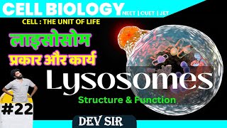 LYSOSOME Type amp Function Class 11NEET cell  The unit of life Chapter 8 by Dev sir guruwani [upl. by Nikoletta]