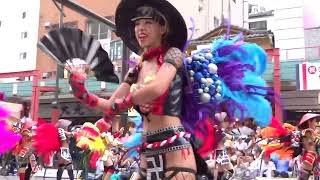 ロボットレストラン 【 美人サンバ！】 浅草サンバカーニバル 2016 Asakusa samba carnival 삼바 桑巴舞 [upl. by Nereil]