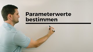 Parameterwerte bestimmen bei Funktionsscharen Analysis  Mathe by Daniel Jung [upl. by Adner216]