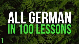 All German in 100 Lessons Learn German  Most important German phrases and words Lesson 1 [upl. by Crescentia494]