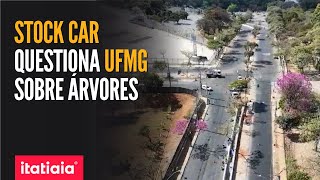 UFMG TEVE 5 MIL ÁRVORES CORTADAS NOS ÚLTIMOS ANOS DIZ ESTUDO [upl. by Aihsad]