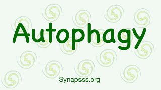 Autophagy definition mechanisms Macroautophagy [upl. by Cecilio]