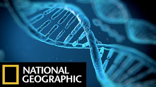 Children of Adam  National Geographic DNA Documentary [upl. by Robena547]