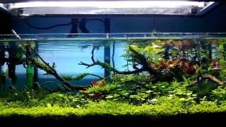 ADA 60F [upl. by Veradia406]