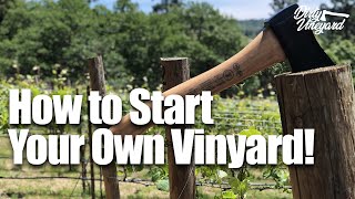 How To Start Your Own Vineyard  Season 1 Episode 1  How You Can Start a Vineyard [upl. by Dekow]