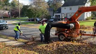 ODB LCT600 Leaf Vacuum Picking Up Leaves on a Chilly November Afternoon [upl. by Bonne158]