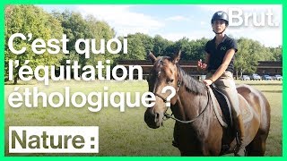 Cest quoi léquitation éthologique [upl. by Adnyl151]