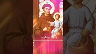 St Anthony padua  whatsapp status  stanthony trending shorts jesus [upl. by Kciremed]