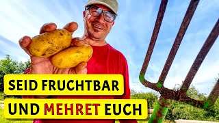 Die wundersame KartoffelVermehrung  Rezept Pflaumenmus  Test Rüttelsieb [upl. by Eart668]