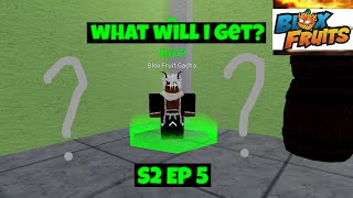 blox fruits trying to get a mythical fruit S2 ep5 [upl. by Monda273]