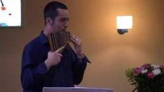 Adios Nonino played by Mihai Puscoiu Pan flute [upl. by Bohi555]