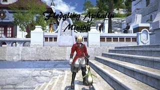 FFXIV ARR Obtaining Fledgling Apkallu Minion [upl. by Tolland318]