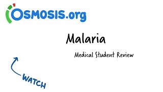 Malaria  Osmosis Study Video [upl. by Llenrep842]