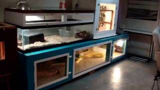 UPDATE HUGE BURMESE Python ENCLOSURE [upl. by Stichter]