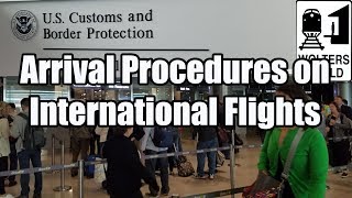 What is the Arrival Procedure on an International Flight [upl. by Nymrak]