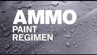 How to Use the AMMO Paint Regimen [upl. by Aninad]