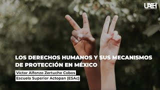 Los Derechos Humanos y sus mecanismos de protección en México [upl. by Etac]