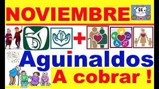 NOVIEMBRE AGUINALDOS A COBRAR  PENSIONES IMSS E ISSSTE  PAGOS BIENESTAR EN NOV SALUD CASA X CASA [upl. by Kavita]