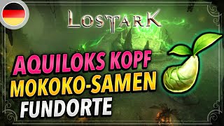 Rethramis  Aquiloks Kopf MOKOKO Samen  Alle 6 Fundorte erklärt  Lost Ark Deutsch Seeds Locations [upl. by Yreneh676]