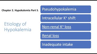 Hypokalemia Part 5 Etiology [upl. by Einnus]