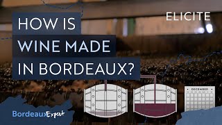 Red Winemaking in Bordeaux Explained [upl. by Cleti]