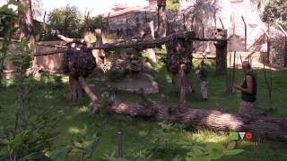 Il Bioparco di Roma  Estate 2011 al Bioparco  PART 2 of 2  wwwHTOtv [upl. by Aisela]