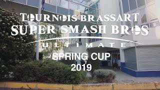 Super Smash Bros Ultimate Brassart Spring Cup 2019 [upl. by Enar]