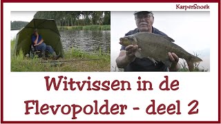 Feedervissen WITVISSEN deel 2  feeder [upl. by Eimmaj]