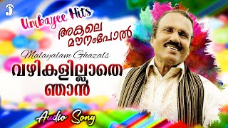 വഴികളില്ലാതെ ഞാൻ  Vazhikalillathe Njan  Album  Akale Mounampol  Umbayee Ghazals [upl. by Spalding]