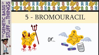 5Bromouracil villian or hero Mutagenesis with 5bromouracil in bacteriophages [upl. by Aened]