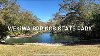 Wekiwa Springs State Park Tour amp Review [upl. by Nysa]