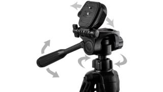 Ravelli APLT4 Tripod Review [upl. by Esinahs279]