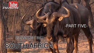 Bow Hunting South Africa 2017  Part 5 [upl. by Ettenot]