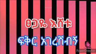 ጸጋዬ እሸቱ ፍቅር አገረሸብኝ Tsegaye Eshetu Fikir agereshebign [upl. by Ahsiner393]