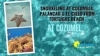 Snorkeling at Colombia Palancar amp El Cielo from Tortugas Beach [upl. by Wolcott]