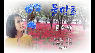 물망초가사포함  문주란1966 [upl. by Anelej522]