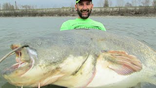 Siluro Gigante mi rompe il Mulinello  HD by Catfishing World [upl. by Hank]