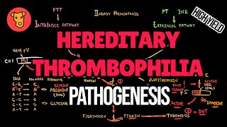 HEREDITARY THROMBOPHILIA Pathogenesis of Antithrombin deficiency Factor 5 Leiden Protein CS def [upl. by Annekahs]