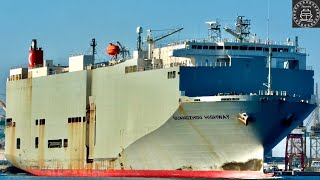 Shipspotting 4K LOS ANGELESLONG BEACH Ports September 2024 [upl. by Housen]