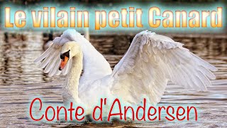 Le vilain petit Canard conte dAndersen [upl. by Pond]