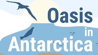 The ecosystems of oases in Antarctica [upl. by Harak173]