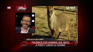 Dra Cordero se refiere a polémica por hombre que mató a pudú y luego lo cocinó [upl. by Alleras]