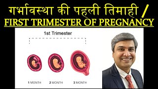 गर्भावस्था की पहली तिमाही  FIRST TRIMESTER OF PREGNANCY [upl. by Eldredge]