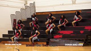 DESHARA FIERCE DANCE ACADEMY  STAND IN THE STANDS  Pontiac MI  Majorette Dance Competition [upl. by Idieh157]